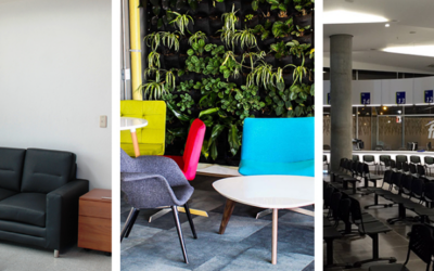 imagen_2024-01-29_174931240