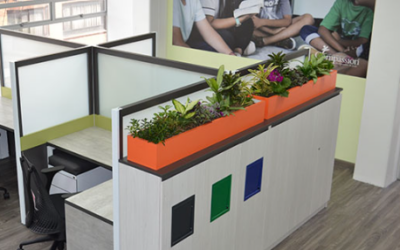 imagen_2024-02-02_111757302