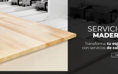 imagen_2024-02-02_155955866