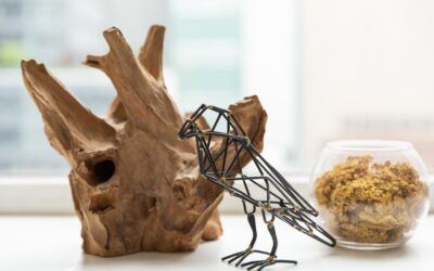 pexels-rdne-stock-project-8903724